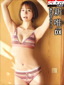 新たなアラタ 2 新唯DX [sabra net e-Book]