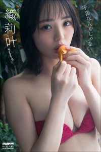織莉叶 子猫なんかじゃない