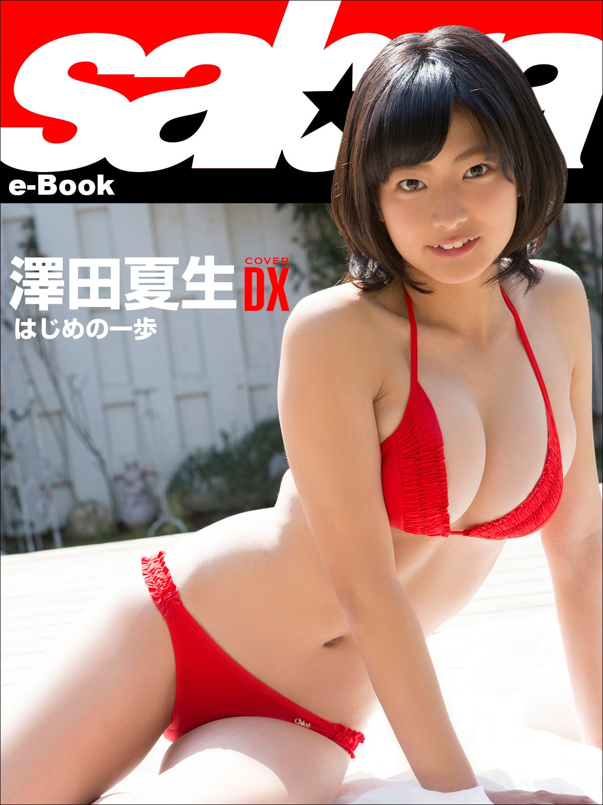 はじめの一歩 澤田夏生COVER DX [sabra net e-Book]