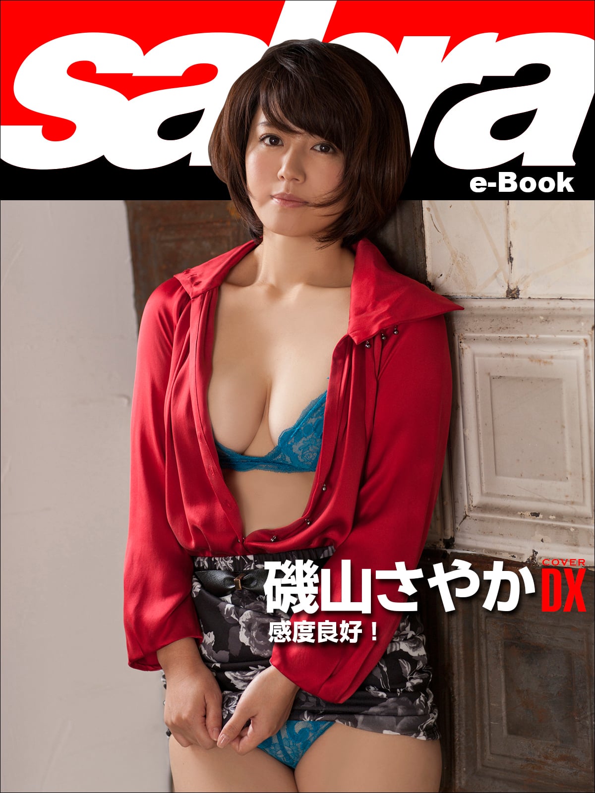 感度良好！ 磯山さやかCOVER DX [sabra net e-Book]