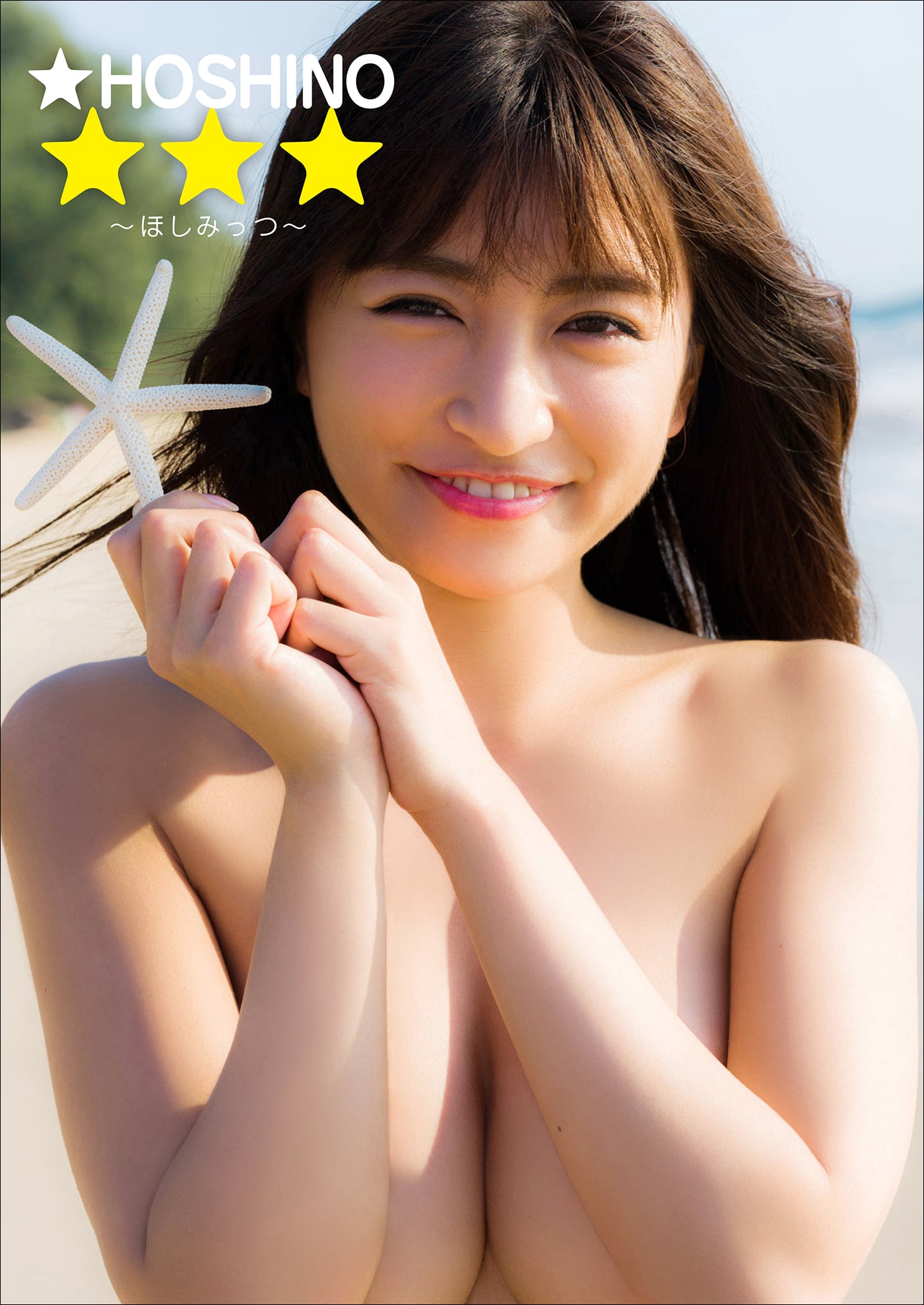 ☆HOSHINO ☆☆☆～ほしみっつ～
