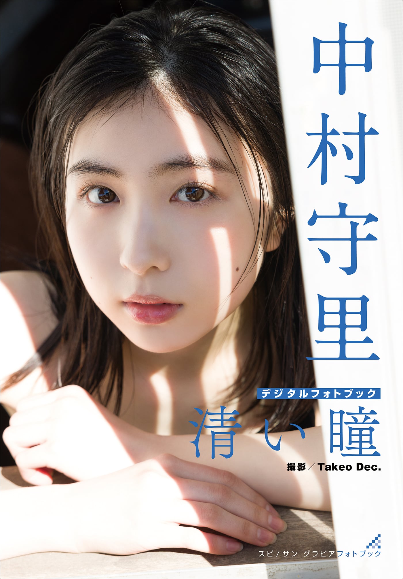 中村守里